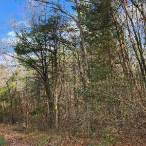 Photo #3 of Major Grahams, Wytheville, VA 17.3 acres