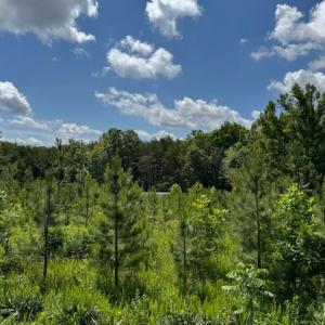 Photo #2 of Mini Ball Lane, Appomattox, VA 69.5 acres