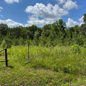 Photo #4 of Mini Ball Lane, Appomattox, VA 69.5 acres