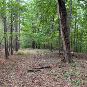 Photo #10 of Rock Cliff Road, Bedford, VA 27.0 acres