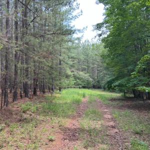 Photo #5 of Rock Cliff Road, Bedford, VA 27.0 acres