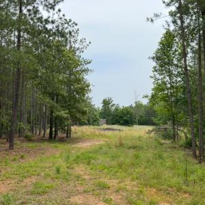 Photo #8 of Rock Cliff Road, Bedford, VA 27.0 acres