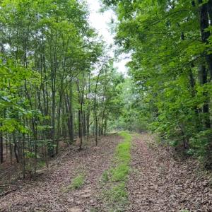 Photo #7 of Rock Cliff Road, Bedford, VA 27.0 acres