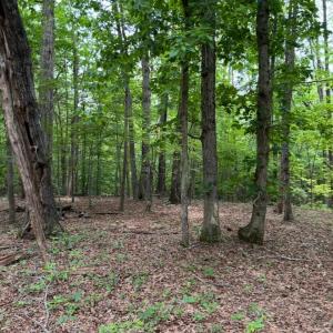 Photo #11 of Rock Cliff Road, Bedford, VA 27.0 acres