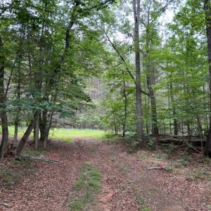 Photo #6 of Rock Cliff Road, Bedford, VA 27.0 acres