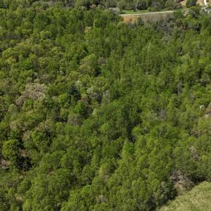 Photo #2 of Gidsville Lot 2A Road, Amherst, VA 10.2 acres