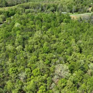 Photo #10 of Gidsville Lot 2A Road, Amherst, VA 10.2 acres