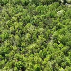 Photo #8 of Gidsville Lot 2A Road, Amherst, VA 10.2 acres