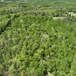 Photo #11 of Gidsville Lot 2A Road, Amherst, VA 10.2 acres