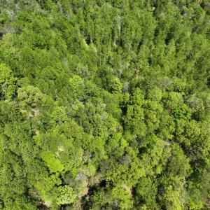 Photo #6 of Gidsville Lot 2A Road, Amherst, VA 10.2 acres