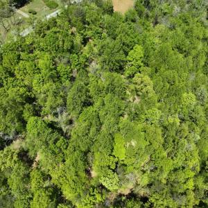 Photo #5 of Gidsville Lot 2A Road, Amherst, VA 10.2 acres