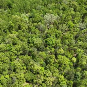 Photo #7 of Gidsville Lot 2A Road, Amherst, VA 10.2 acres