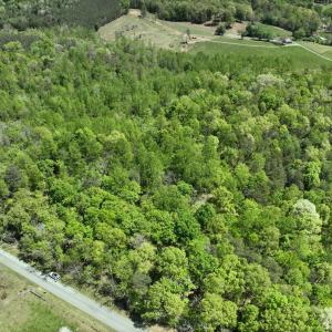 Photo #12 of Gidsville Lot 2A Road, Amherst, VA 10.2 acres