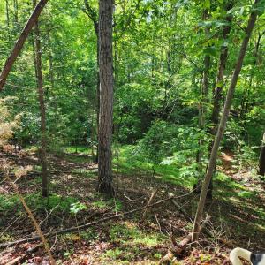 Photo #1 of Forest Shores Road, Wirtz, VA 0.7 acres