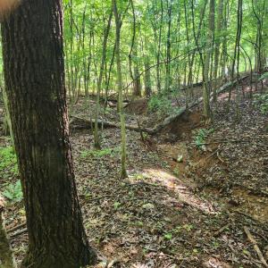 Photo #2 of Forest Shores Road, Wirtz, VA 0.7 acres