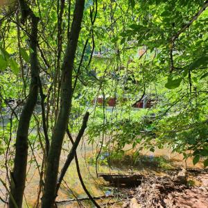 Photo #7 of Forest Shores Road, Wirtz, VA 0.7 acres