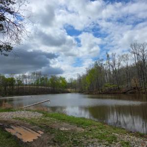 Photo #5 of 1239 Morris Creek Road, Darlington Heights, VA 23.2 acres