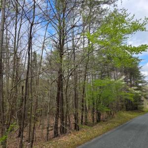 Photo #4 of 1239 Morris Creek Road, Darlington Heights, VA 23.2 acres