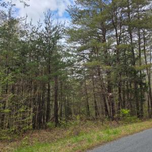 Photo #3 of 1239 Morris Creek Road, Darlington Heights, VA 23.2 acres