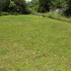 Photo #18 of 150 Mt. Zion Road, Phenix, VA 29.3 acres