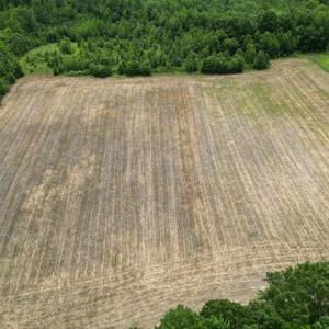 Photo #24 of 150 Mt. Zion Road, Phenix, VA 29.3 acres
