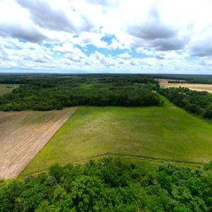 Photo #21 of 150 Mt. Zion Road, Phenix, VA 29.3 acres