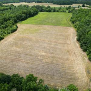 Photo #23 of 150 Mt. Zion Road, Phenix, VA 29.3 acres