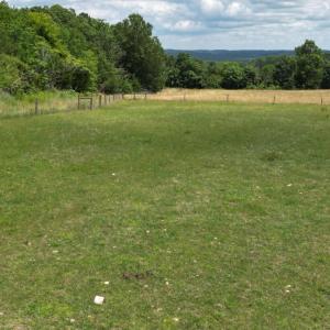 Photo #19 of 150 Mt. Zion Road, Phenix, VA 29.3 acres