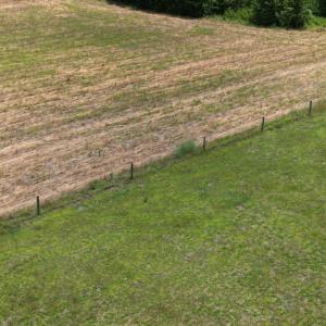 Photo #20 of 150 Mt. Zion Road, Phenix, VA 29.3 acres