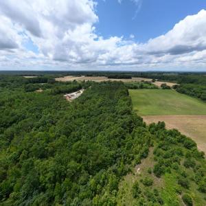 Photo #25 of 150 Mt. Zion Road, Phenix, VA 29.3 acres