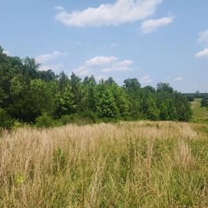 Photo #9 of Foxfire, Gladys, VA 68.0 acres