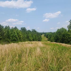 Photo #10 of Foxfire, Gladys, VA 68.0 acres