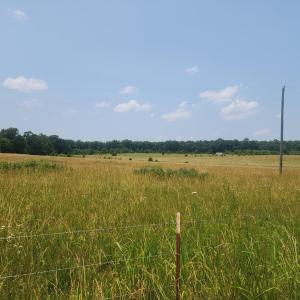 Photo #1 of Foxfire, Gladys, VA 68.0 acres