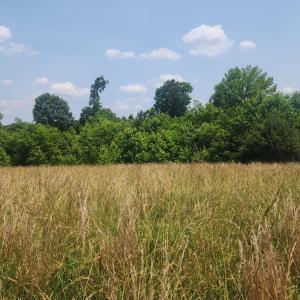 Photo #8 of Foxfire, Gladys, VA 68.0 acres