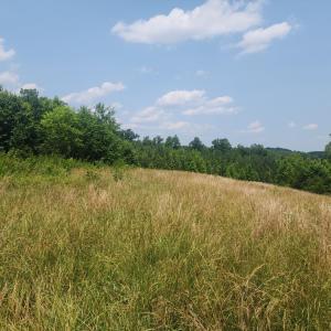 Photo #7 of Foxfire, Gladys, VA 68.0 acres