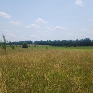 Photo #6 of Foxfire, Gladys, VA 68.0 acres