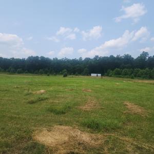 Photo #4 of Foxfire, Gladys, VA 68.0 acres