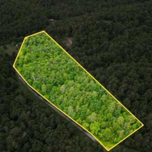 Photo #6 of Pedlar River Road, Vesuvius, VA 16.5 acres