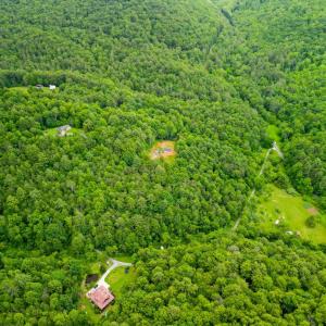 Photo #7 of Pedlar River Road, Vesuvius, VA 16.5 acres