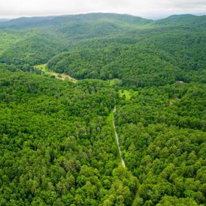 Photo #3 of Pedlar River Road, Vesuvius, VA 16.5 acres