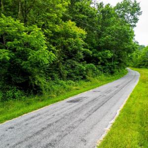 Photo #16 of Pedlar River Road, Vesuvius, VA 16.5 acres