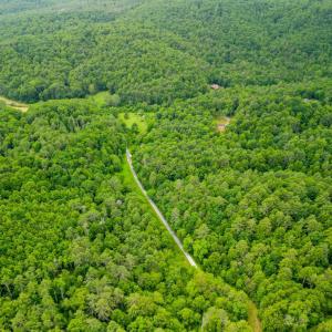 Photo #11 of Pedlar River Road, Vesuvius, VA 16.5 acres