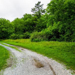 Photo #15 of Pedlar River Road, Vesuvius, VA 16.5 acres