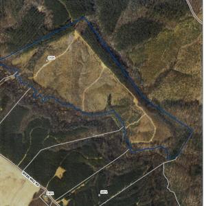 Photo #2 of 2434 Webb Mill Road, Appomattox, VA 104.3 acres