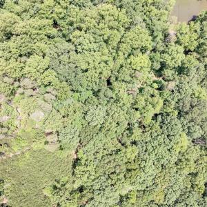 Photo #25 of Talon Ridge Road, Pittsville, VA 1.4 acres