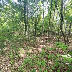 Photo #10 of Amherst Highway, Monroe, VA 33.7 acres