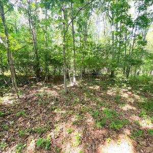Photo #9 of Amherst Highway, Monroe, VA 33.7 acres