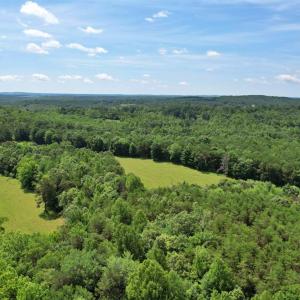 Photo #14 of Story Road, Concord, VA 80.0 acres