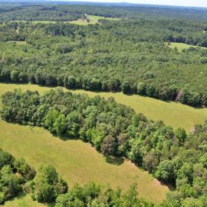 Photo #8 of Story Road, Concord, VA 80.0 acres