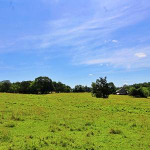 Photo #18 of Story Road, Concord, VA 80.0 acres